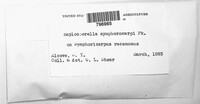 Image Associated With the Occurence